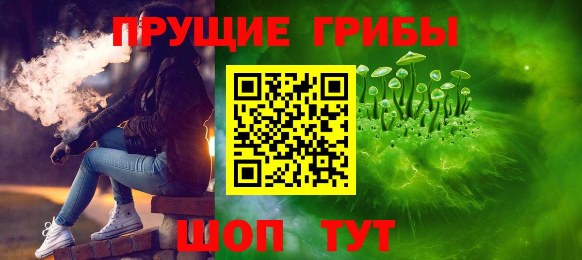 Псилоцибиновые грибы Psilocybe Зеленогорск